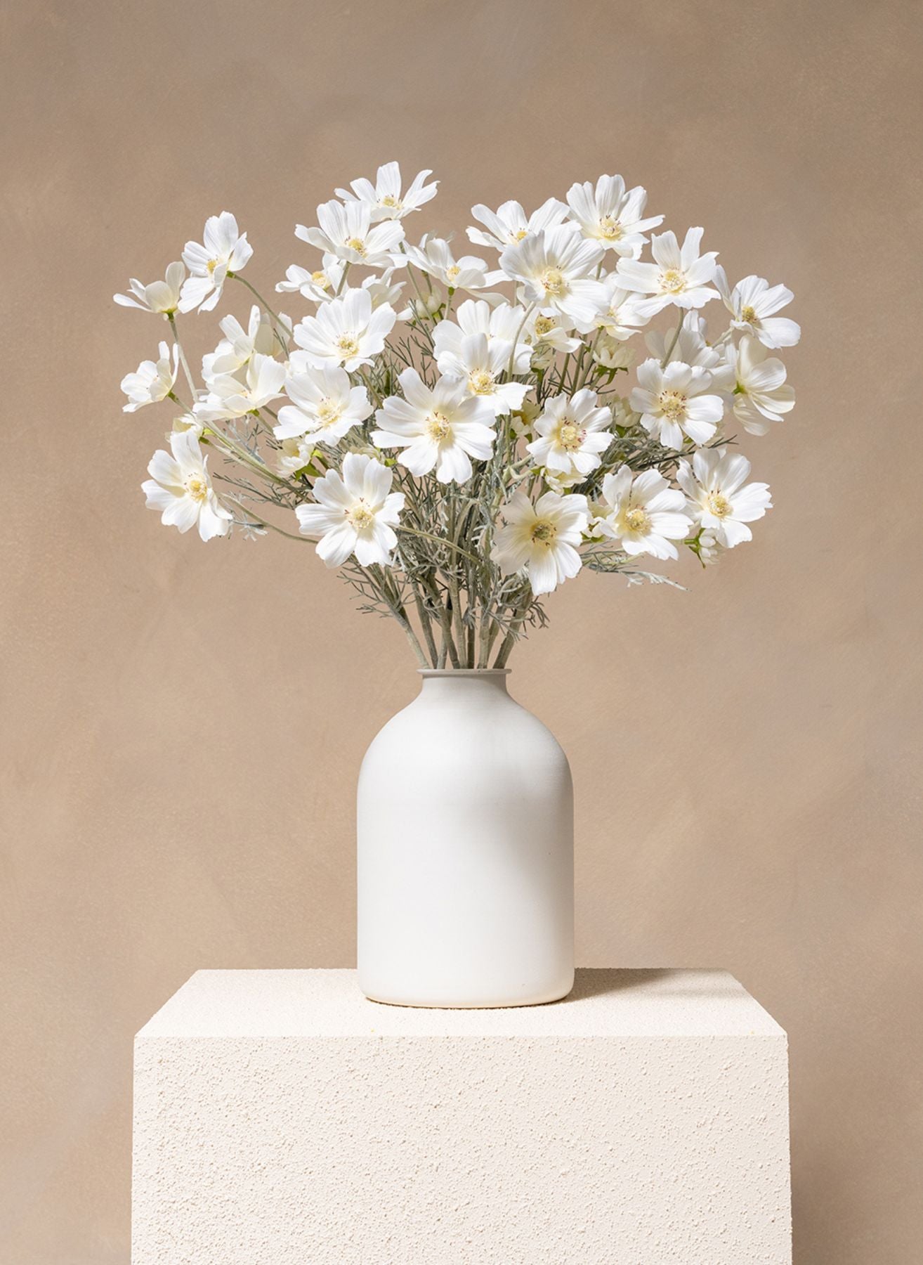 Fleurs de Marguerite