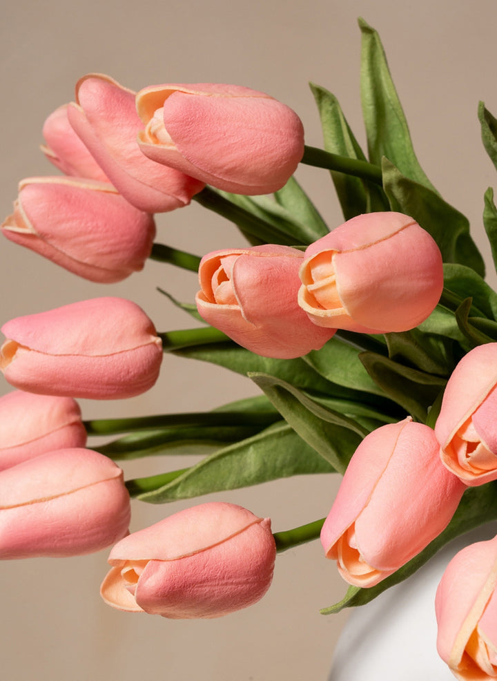 Tulipes - Rose (25 Tiges)
