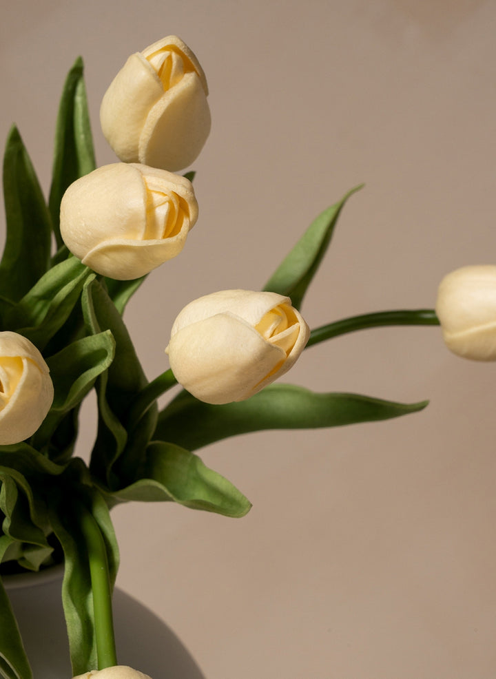 Tulipes - Blanc (25 Tiges)