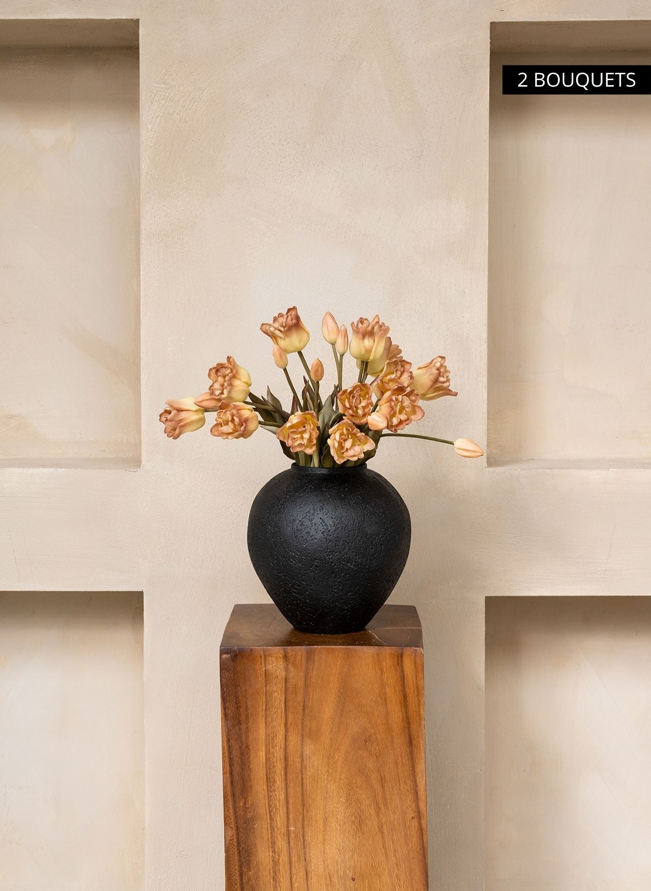 Tulipes Perroquet - Café