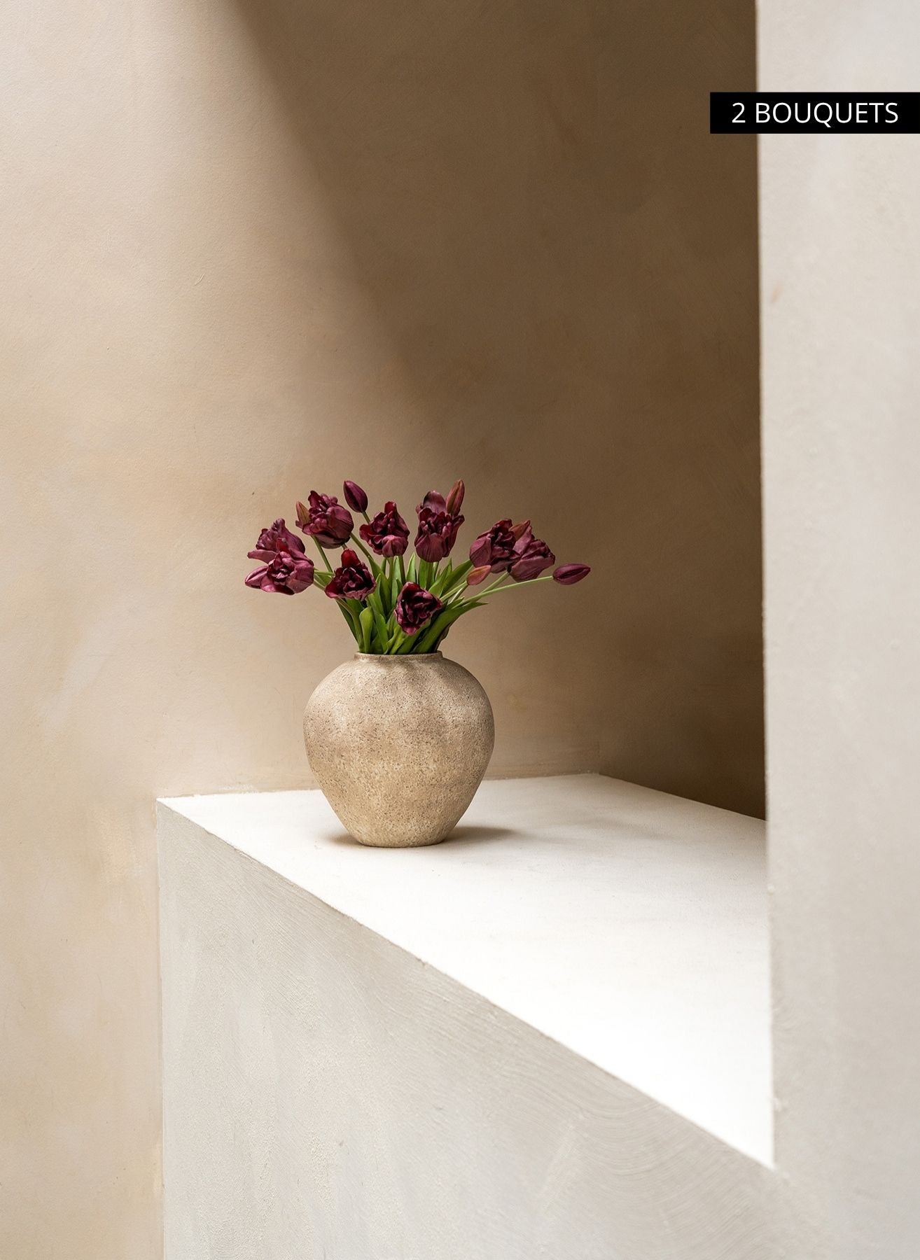Tulipes Perroquet - Mauve