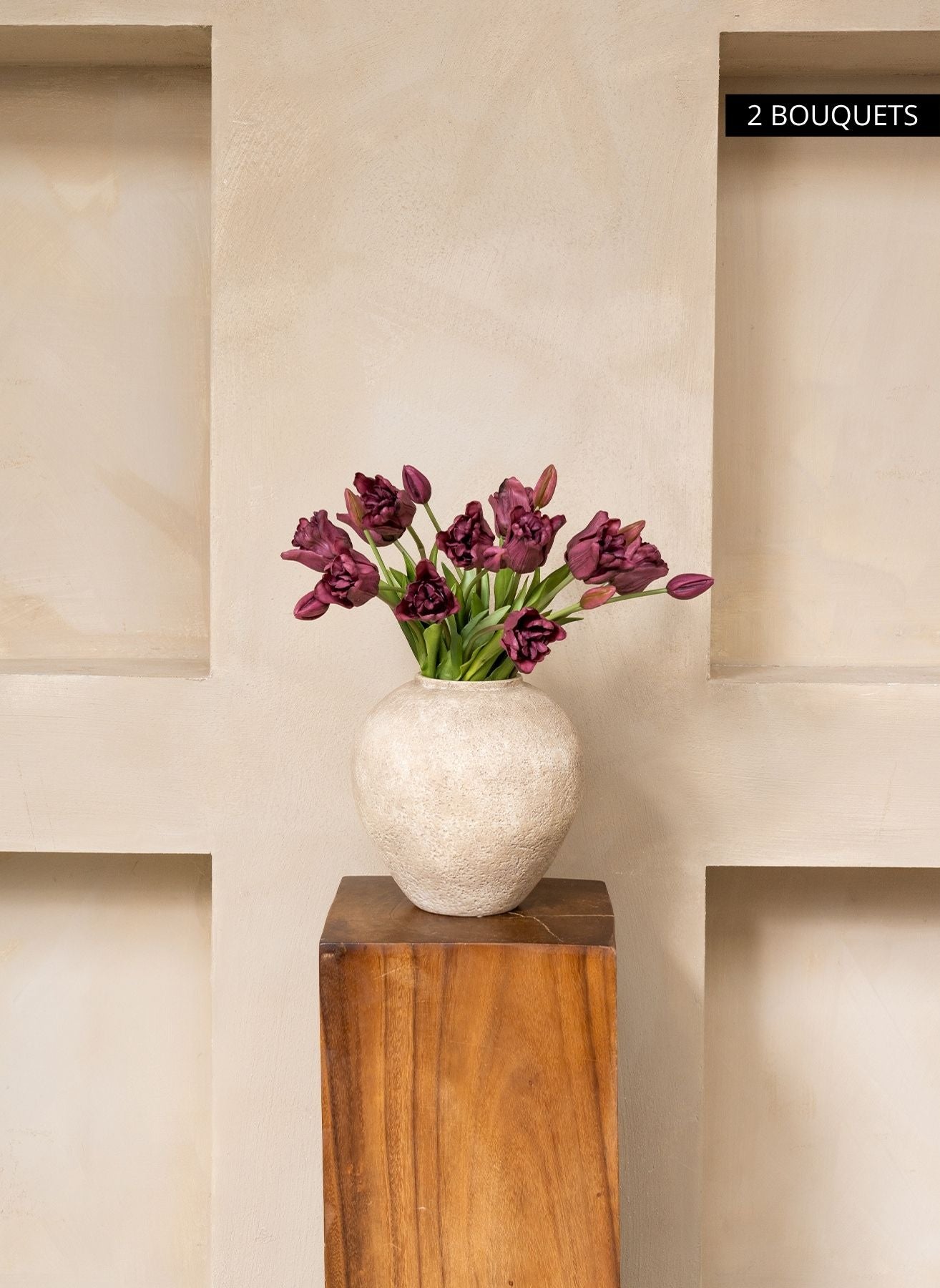 Tulipes Perroquet - Mauve