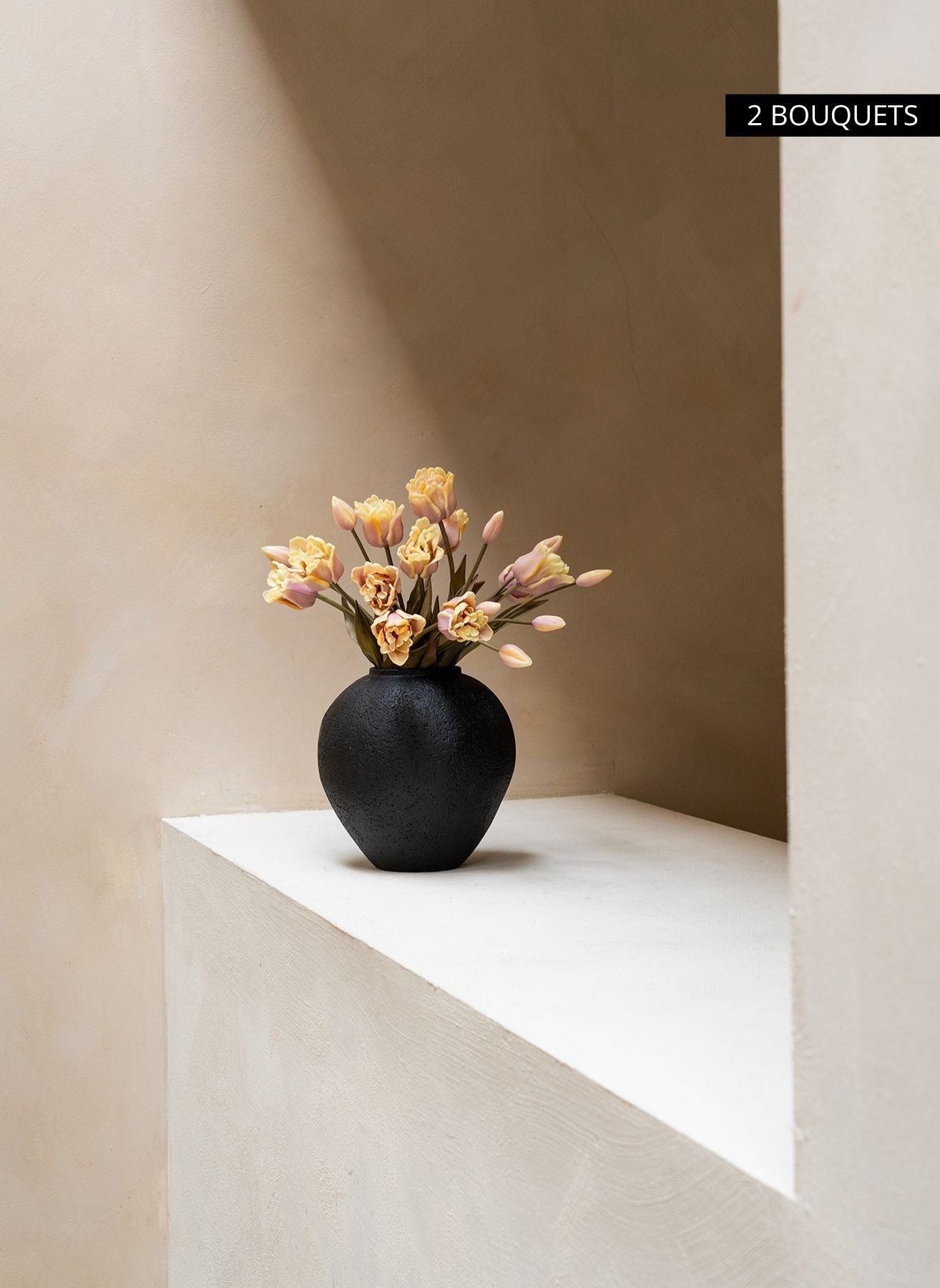 Tulipes Perroquet - Violet