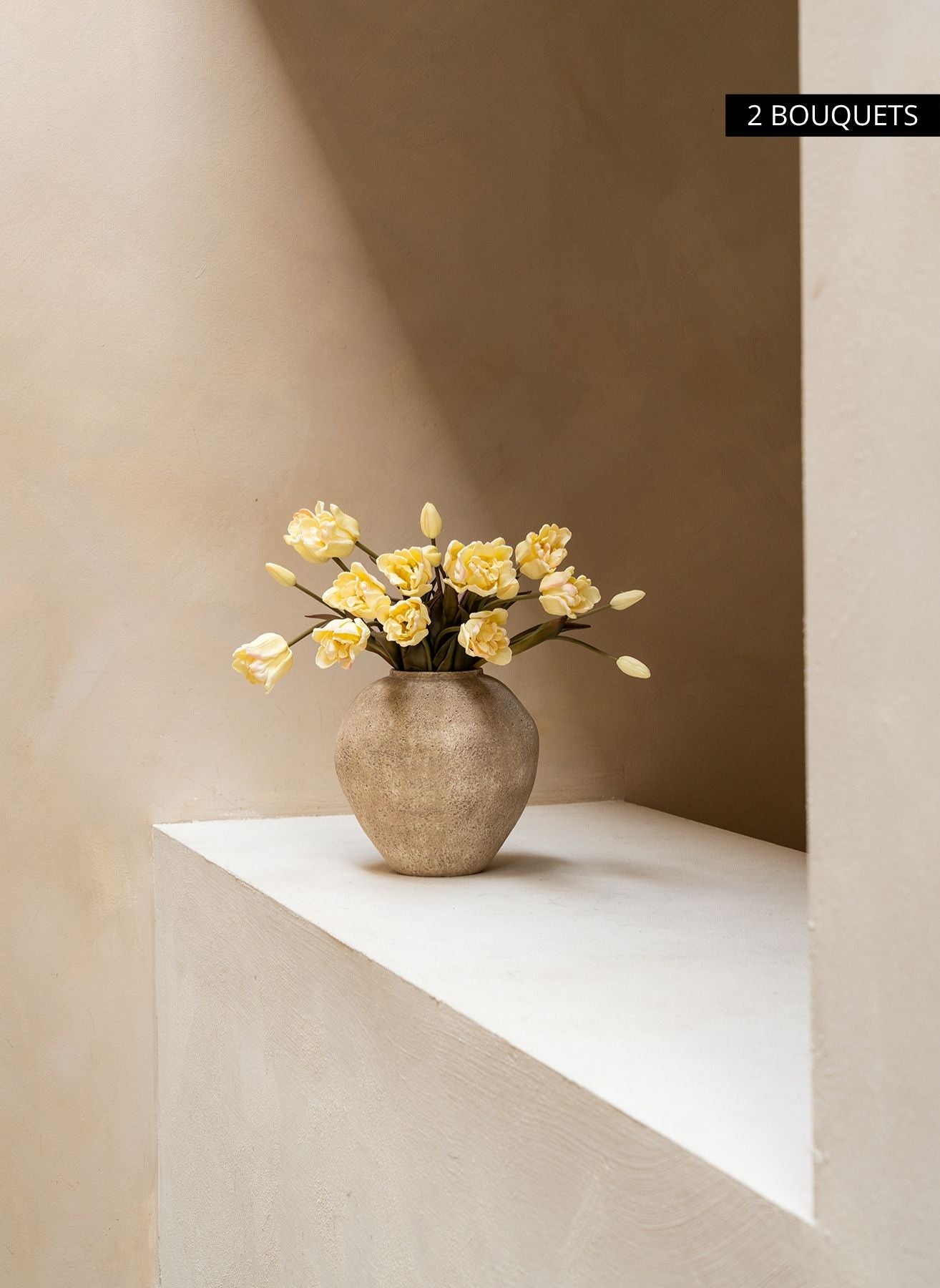 Tulipes Perroquet - Blanc