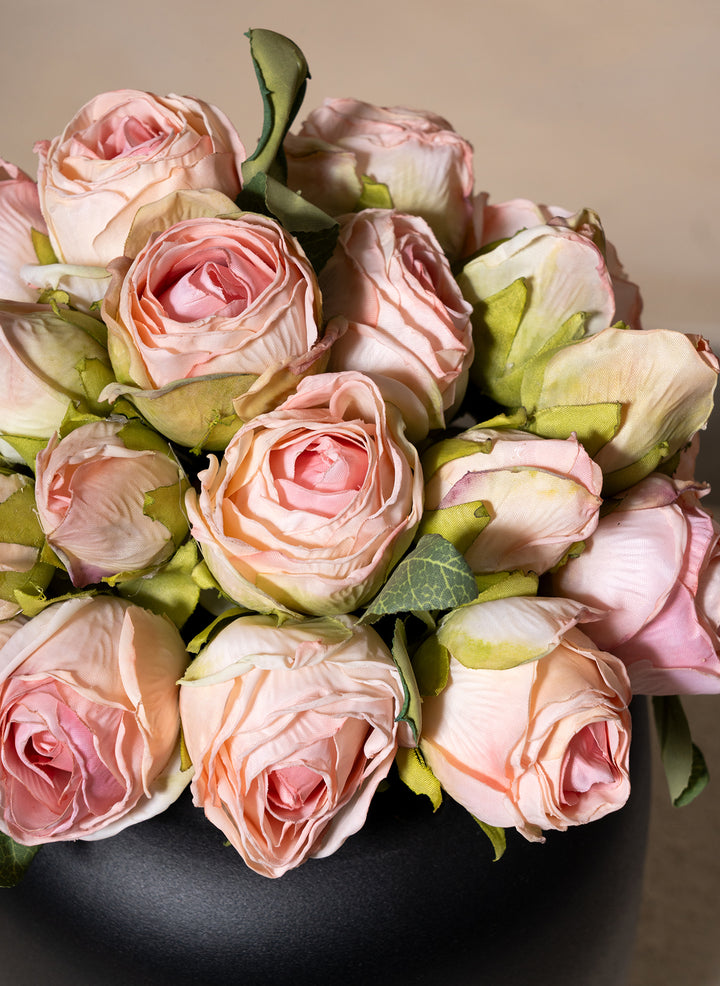 Mini Roses Bouquet - Rose (20 Roses)