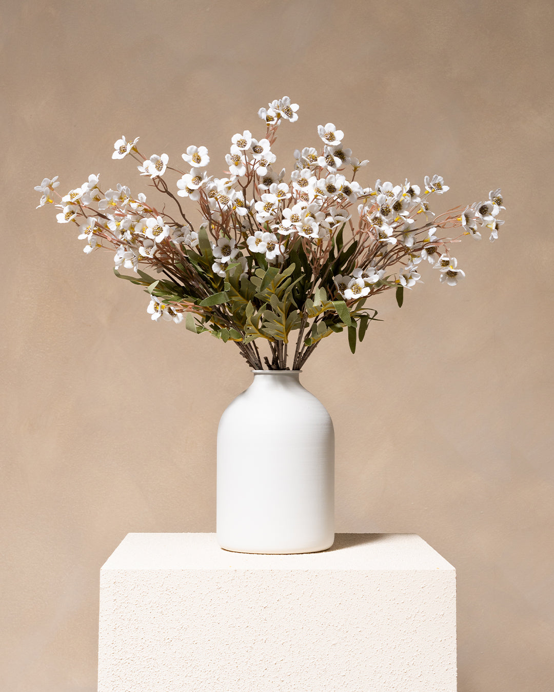 Fleurs de Cire