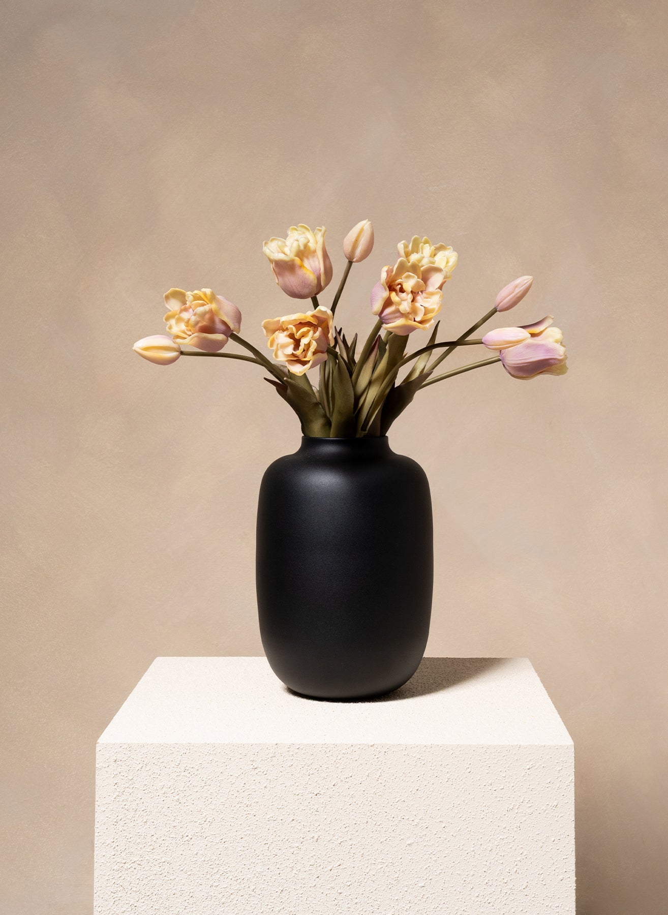 Tulipes Perroquet - Violet