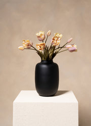 Tulipes Perroquet - Violet