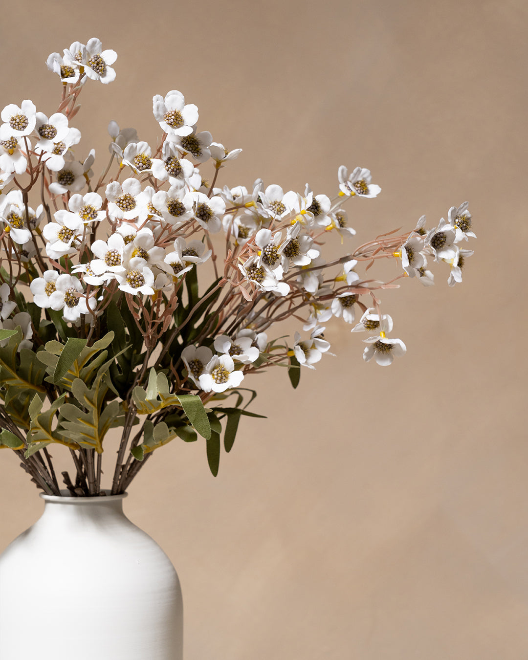 Fleurs de Cire - Blanc (10 tiges)