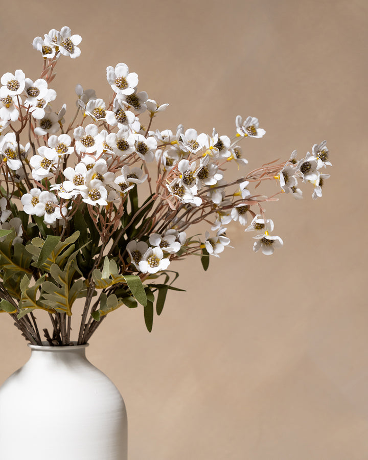 Fleurs de Cire - Blanc (10 tiges)
