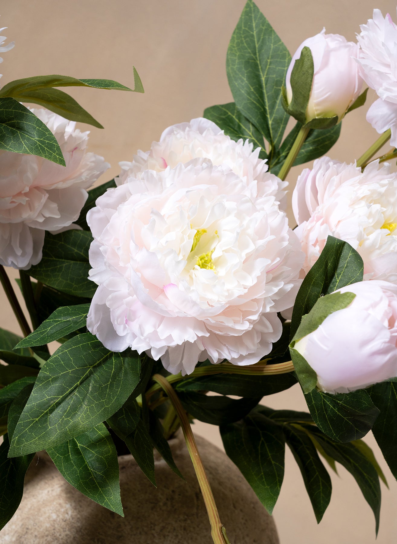 Pivoines - Rose Pâle (6 tiges / 18 têtes de fleurs)