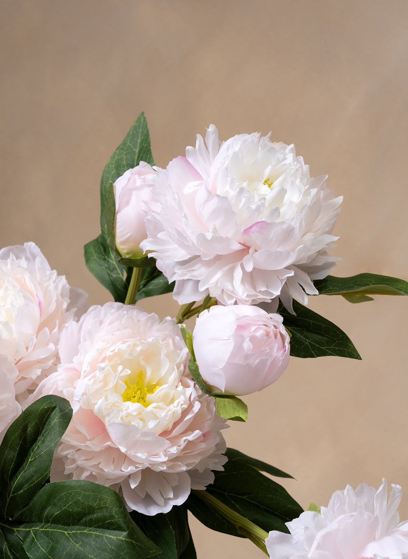 Pivoines - Rose Pâle (6 tiges / 18 têtes de fleurs)