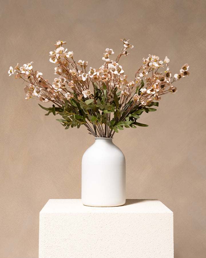 Fleurs de Cire - Crème (10 tiges)