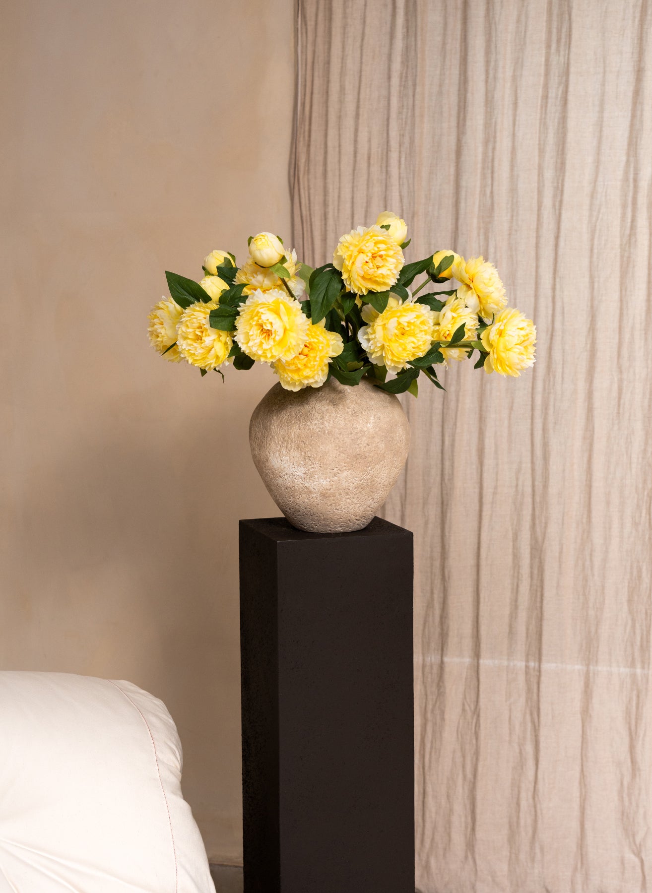 Pivoines - Jaune