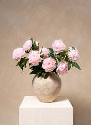 Pivoines - Rose (6 tiges / 18 têtes de fleurs)