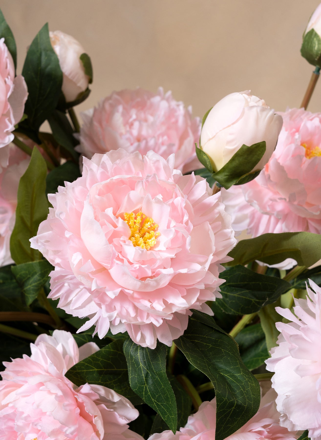 Pivoines - Rose (6 tiges / 18 têtes de fleurs)