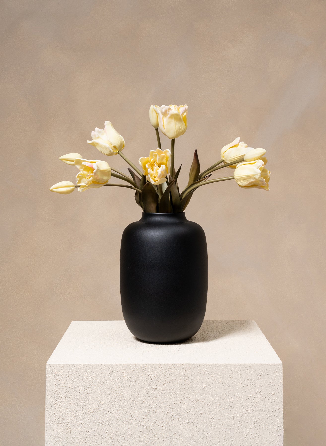 Tulipes Perroquet - Blanc
