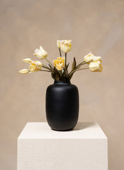 Tulipes Perroquet - Blanc