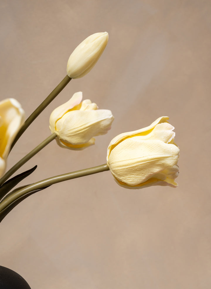 Tulipes Automne - Blanc
