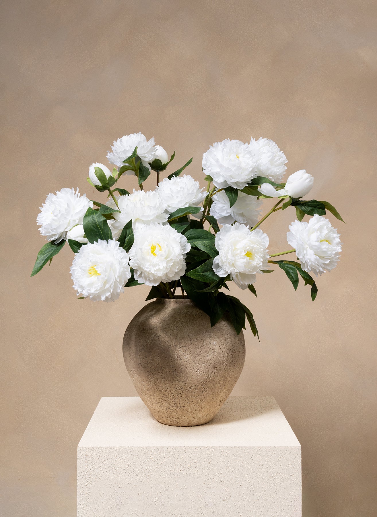 Pivoines - Blanc (6 tiges / 18 têtes de fleurs)