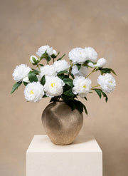 Pivoines - Blanc (6 tiges / 18 têtes de fleurs)