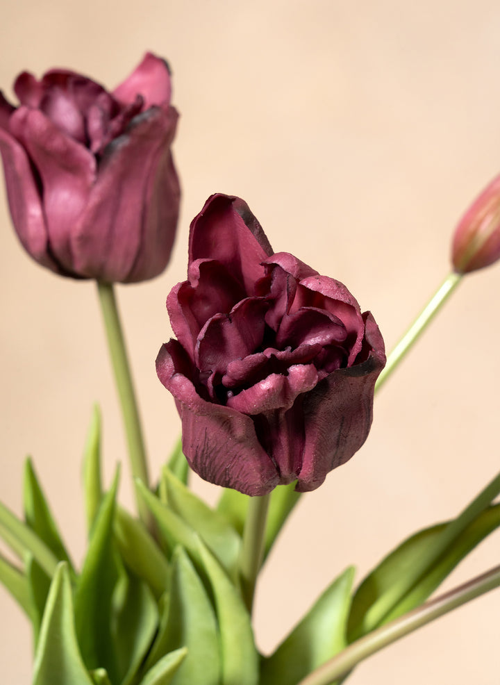 Tulipes Automne - Mauve