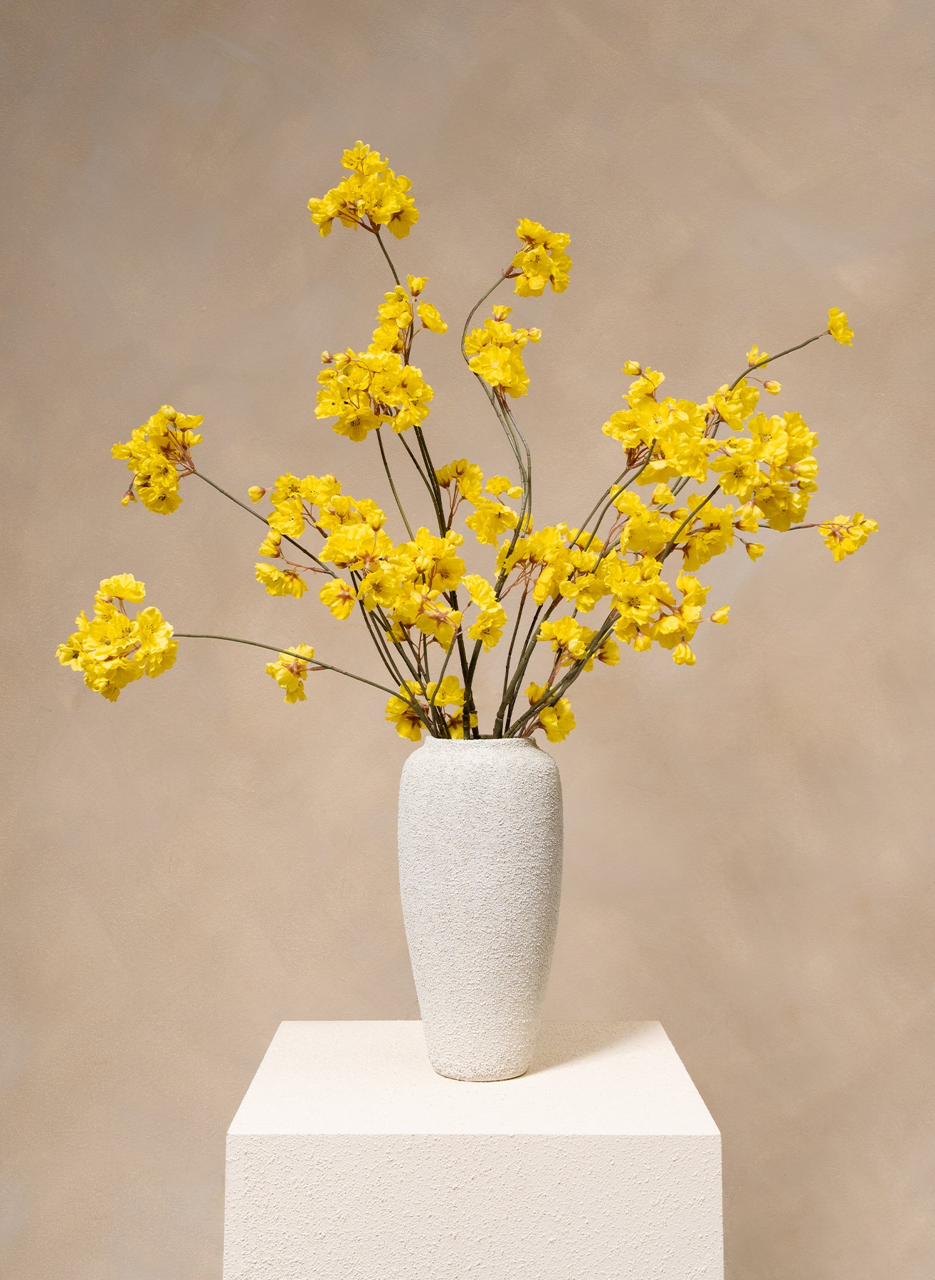 Jasmin d’hiver – Jaune