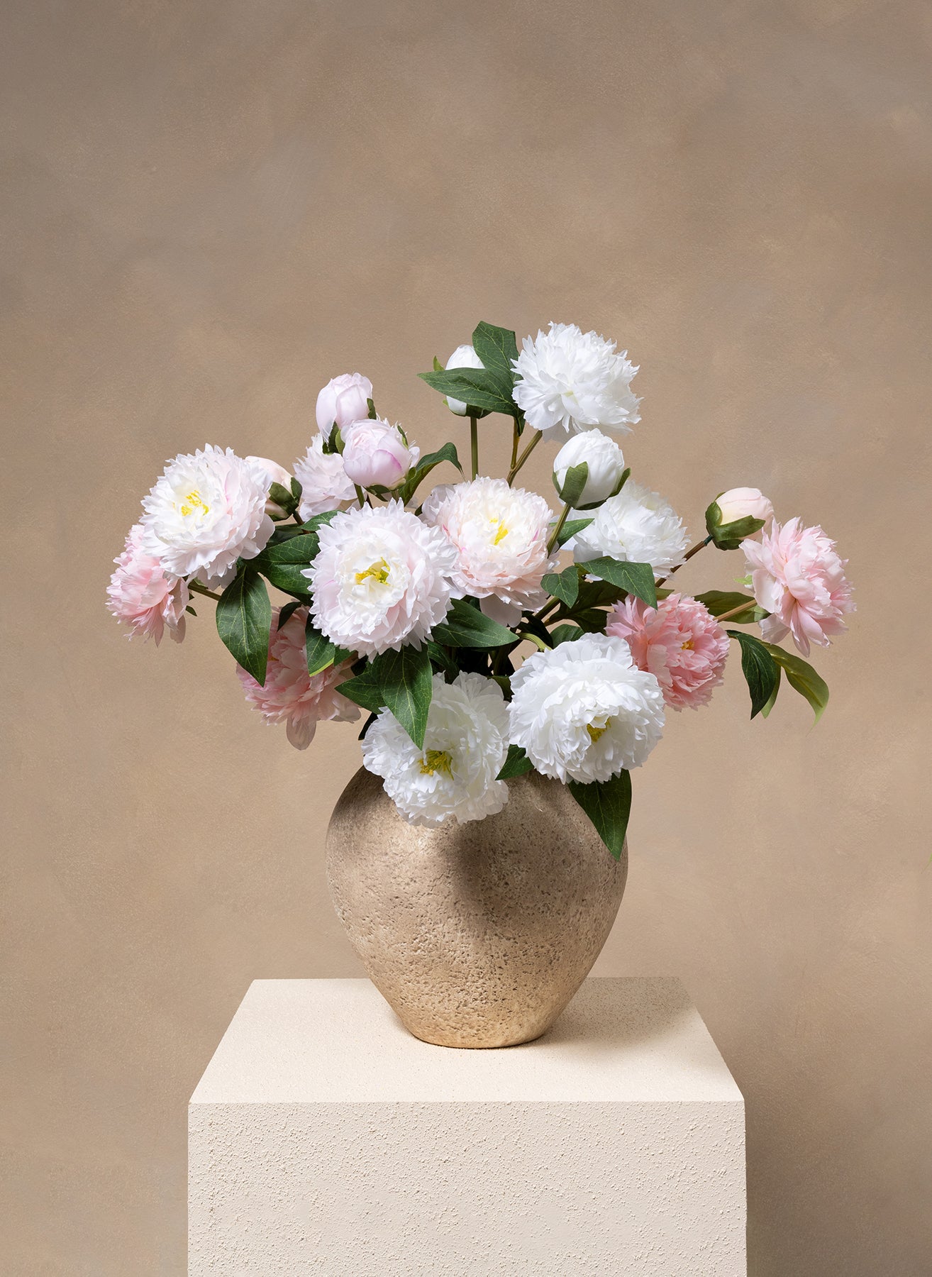 Pivoines - Mélange (6 tiges / 18 têtes de fleurs)