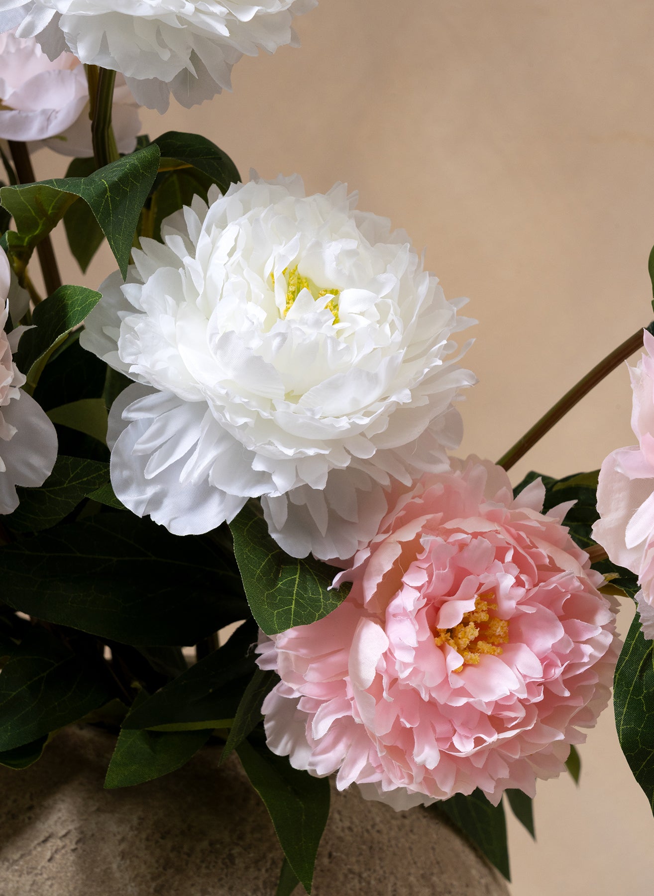Pivoines - Mélange