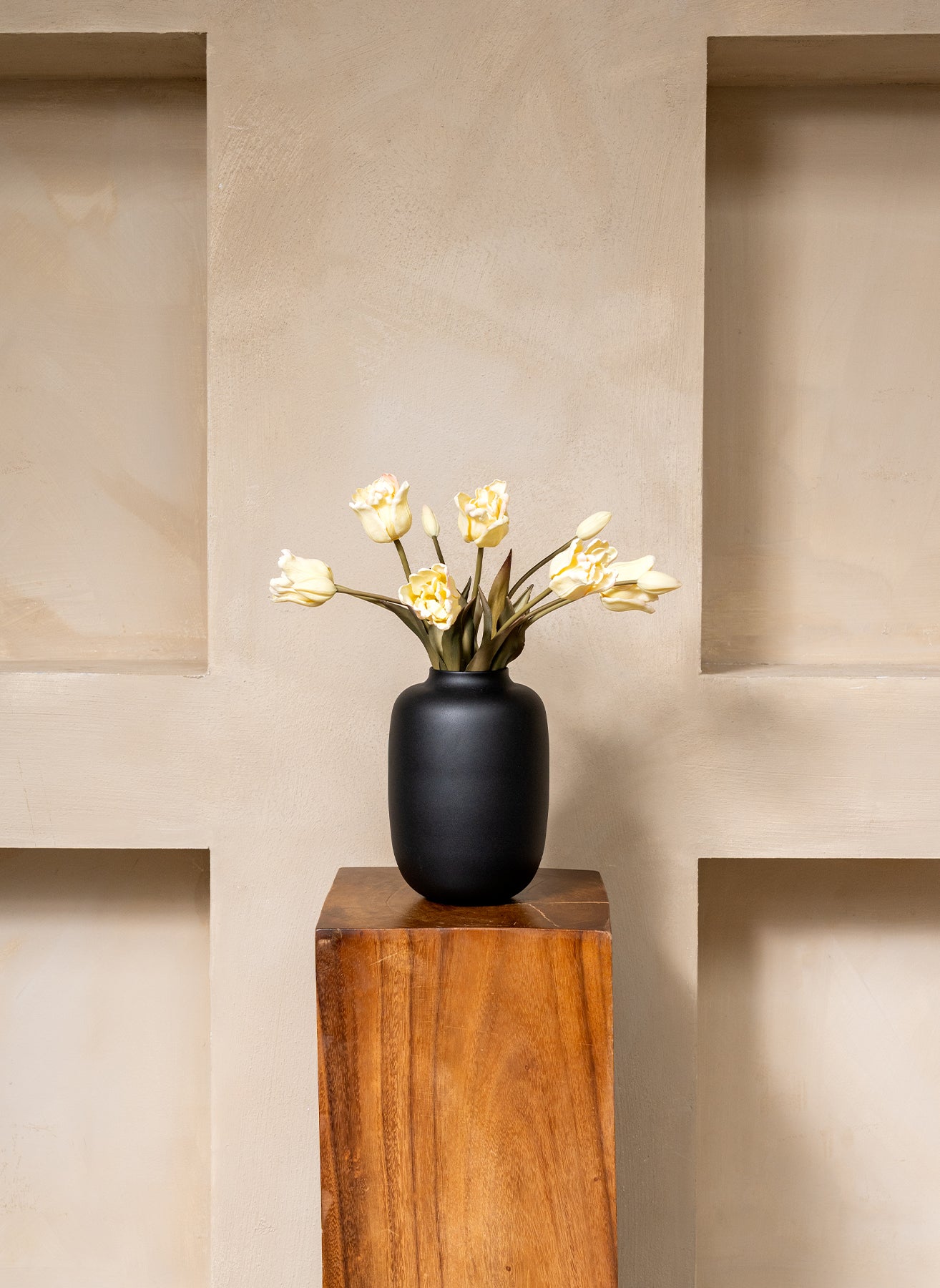 Tulipes Perroquet - Blanc
