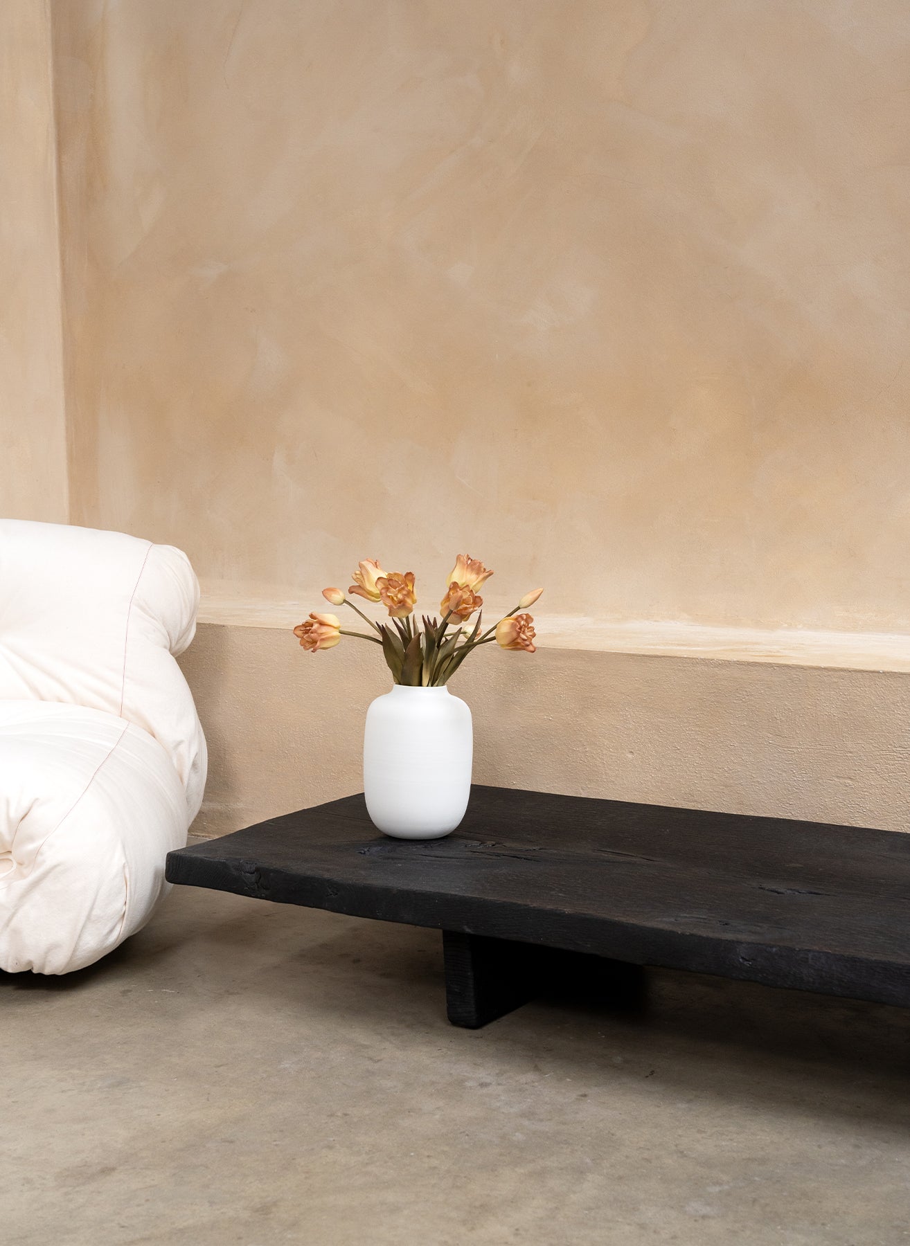 Tulipes Perroquet - Café