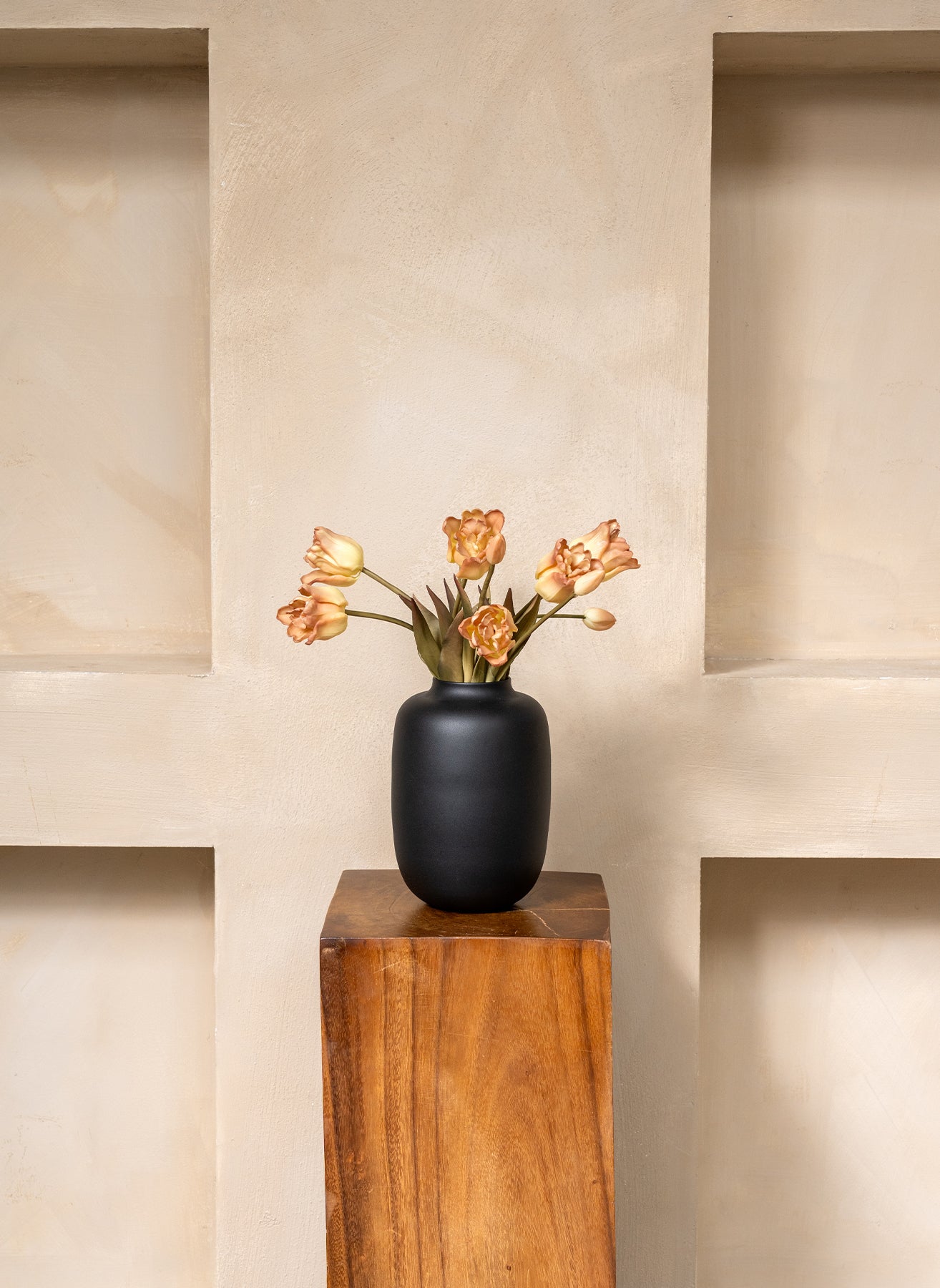 Tulipes Perroquet - Café