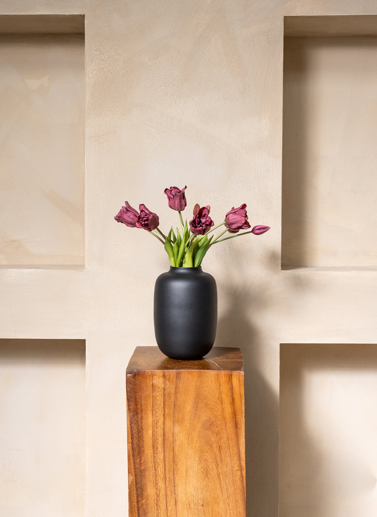 Tulipes Perroquet - Mauve