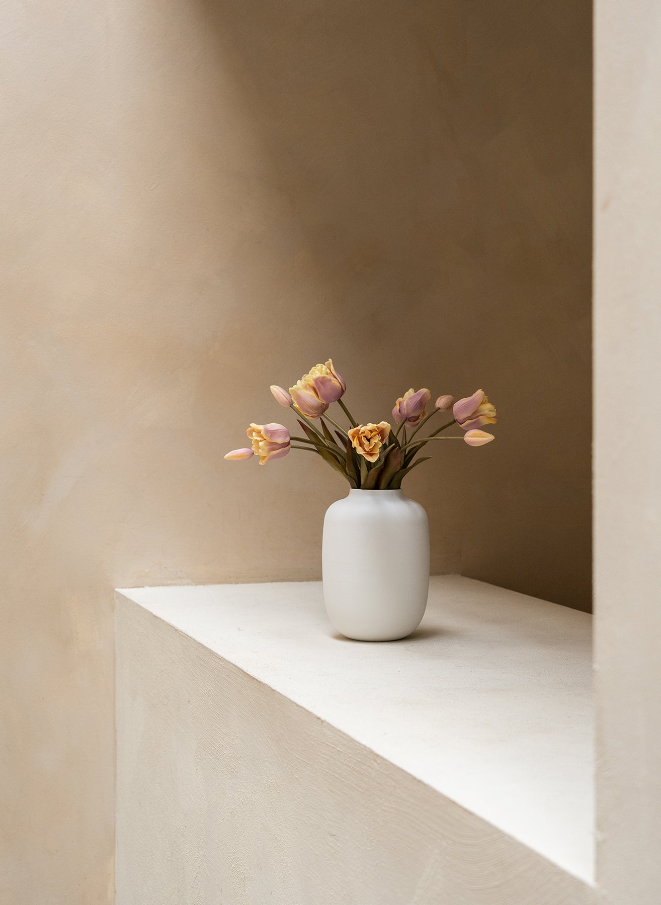 Tulipes Perroquet - Violet