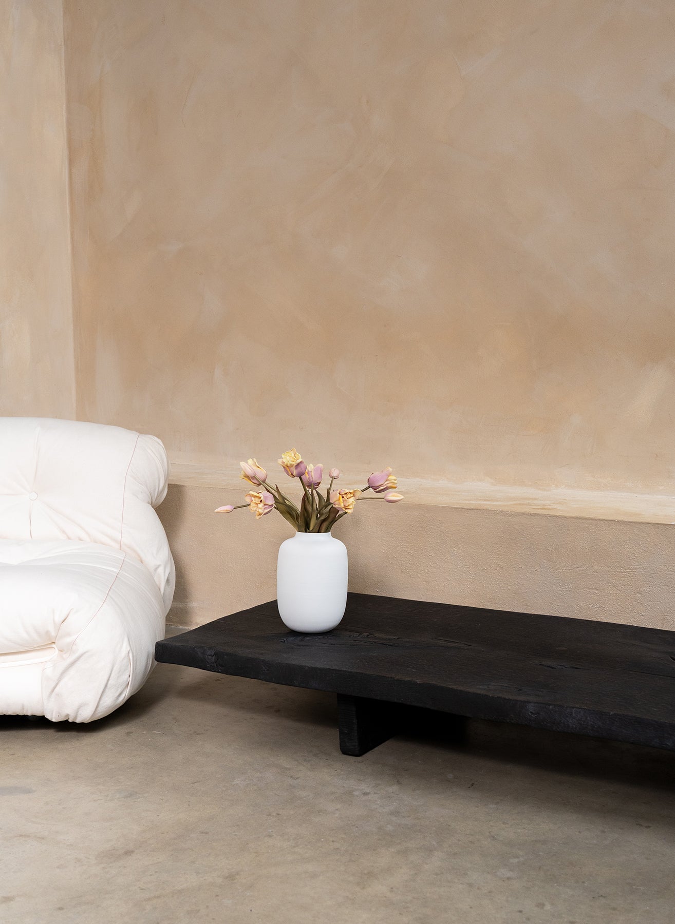 Tulipes Perroquet - Violet