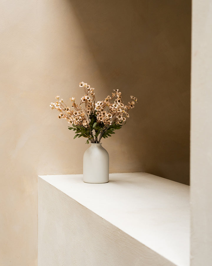 Fleurs de Cire - Crème (10 tiges)