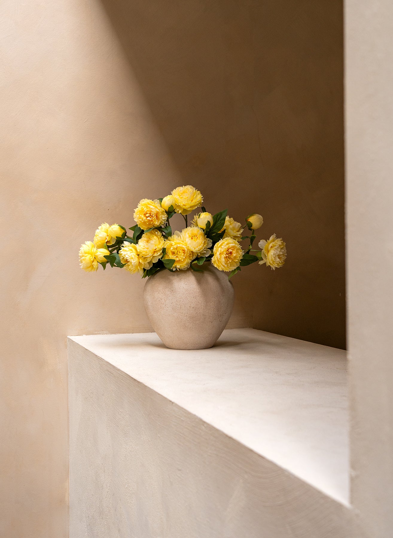 Pivoines - Jaune