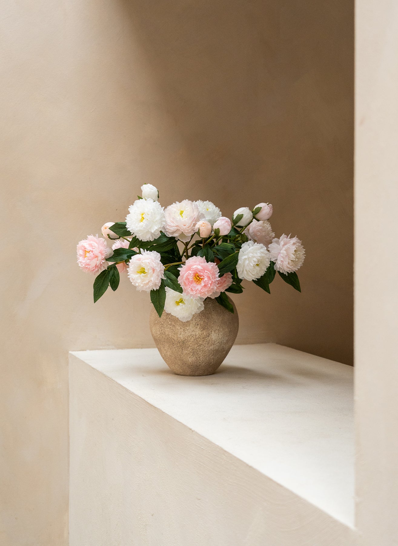 Pivoines - Mélange