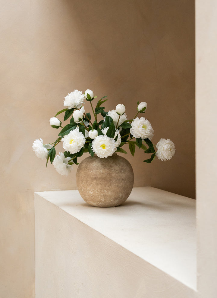 Pivoines - Blanc (6 tiges / 18 têtes de fleurs)