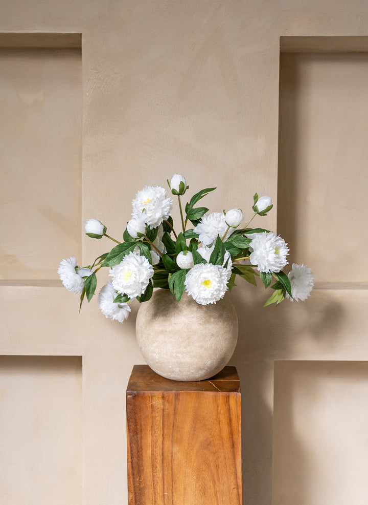 Pivoines - Blanc (6 tiges / 18 têtes de fleurs)