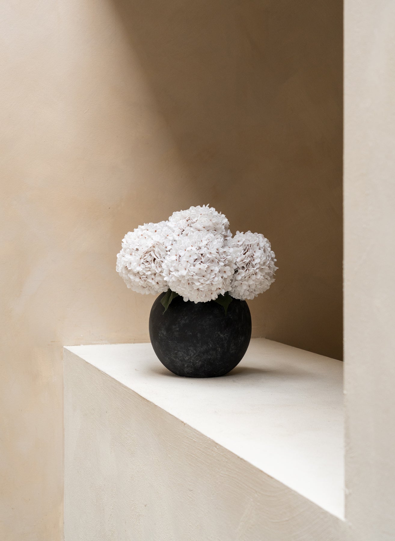 Grande Hortensia (5 tiges) - Blanc