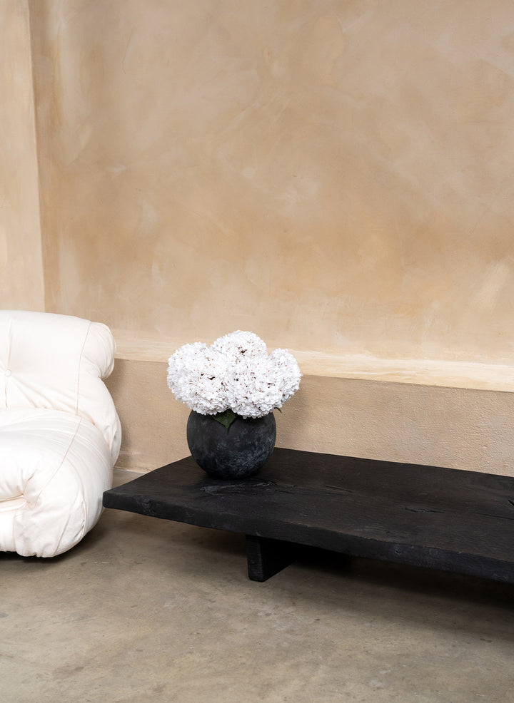 Grande Hortensia (5 tiges) - Blanc