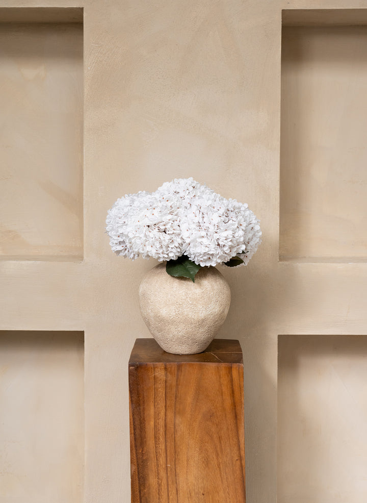 Grande Hortensia (5 tiges) - Blanc