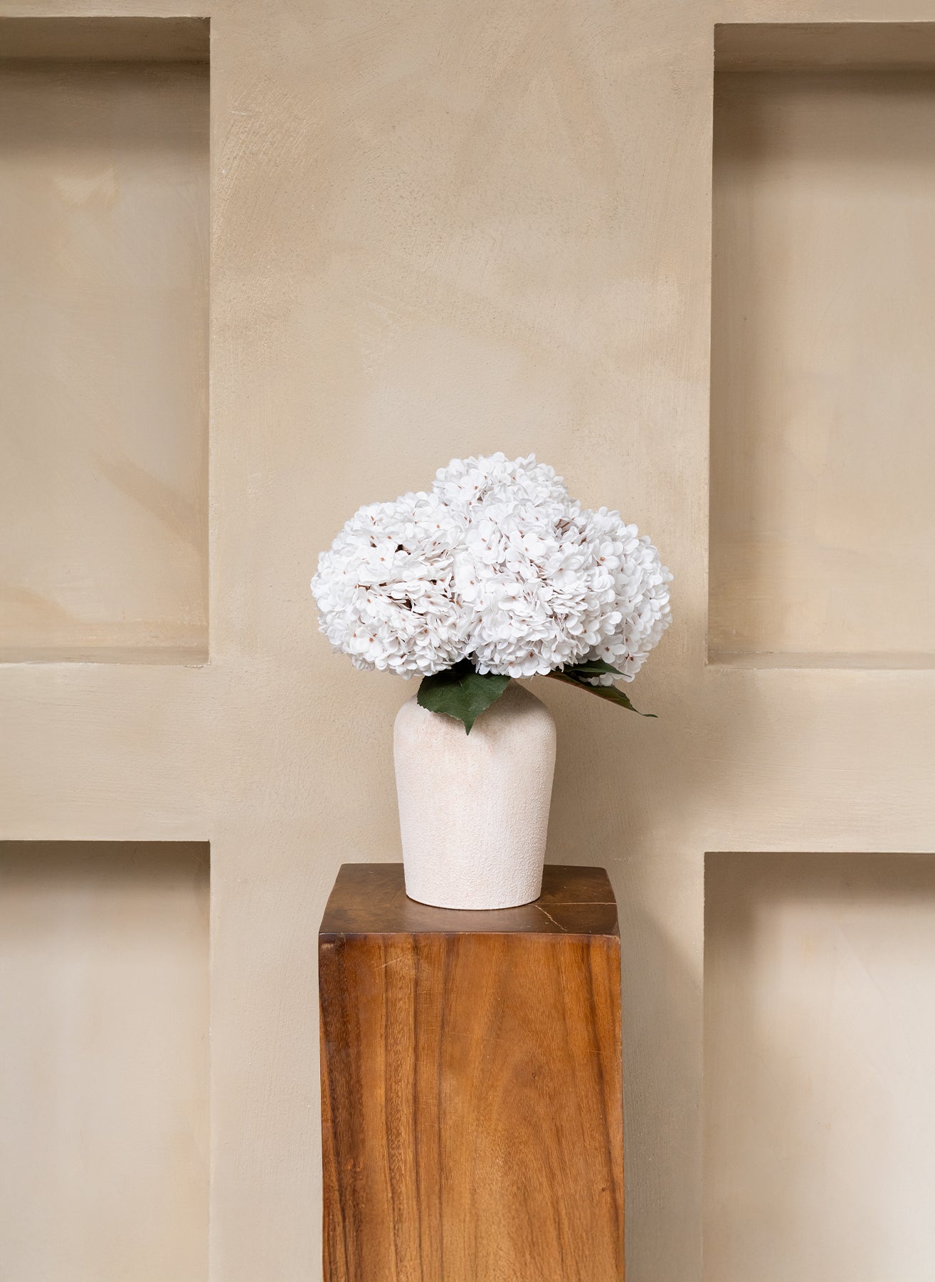 Grande Hortensia (5 tiges) - Blanc