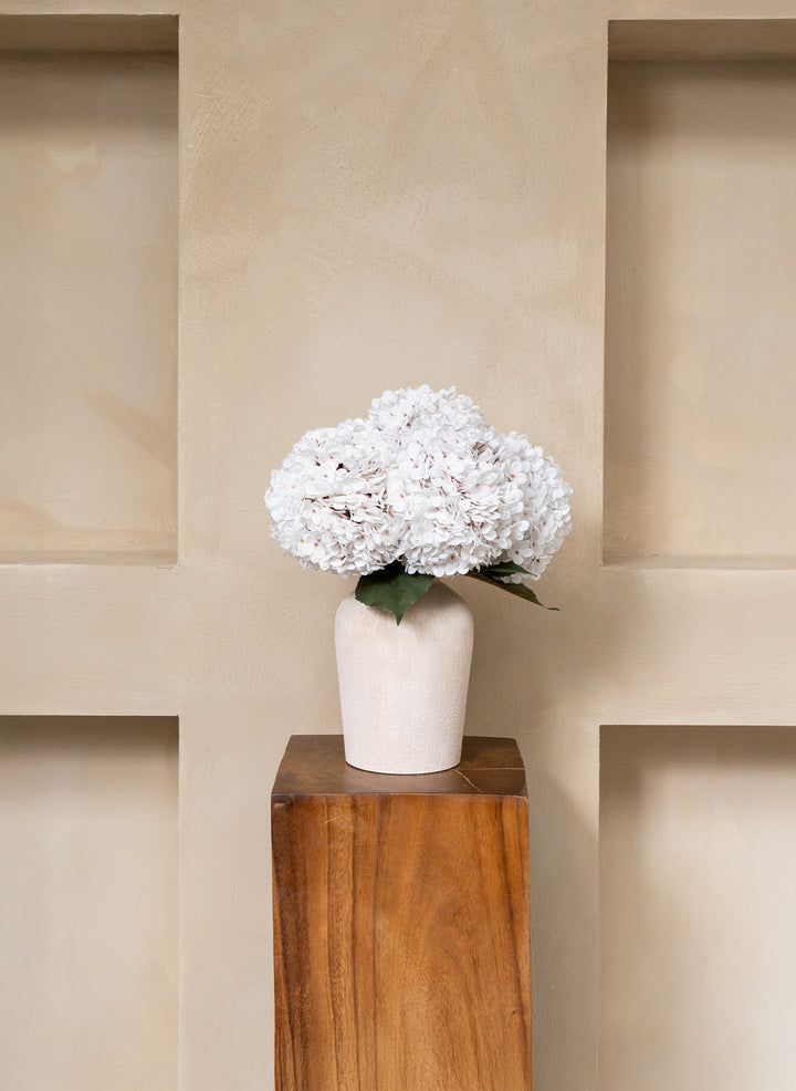 Grande Hortensia (5 tiges) - Blanc