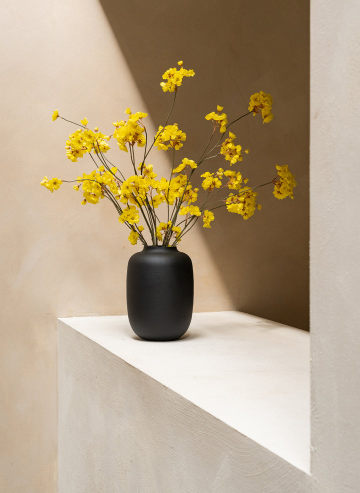 Jasmin d’hiver – Jaune