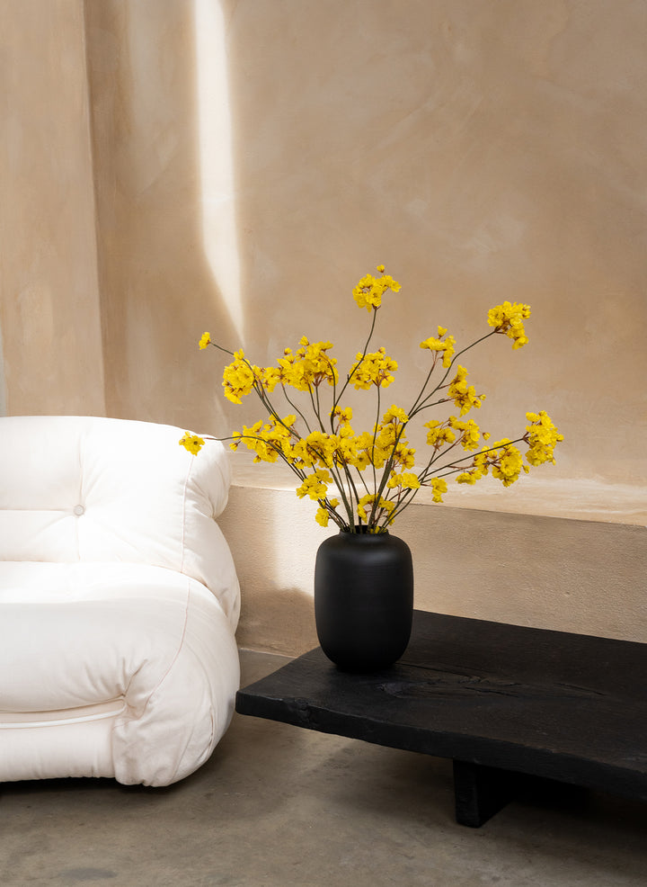 Jasmin d’hiver – Jaune