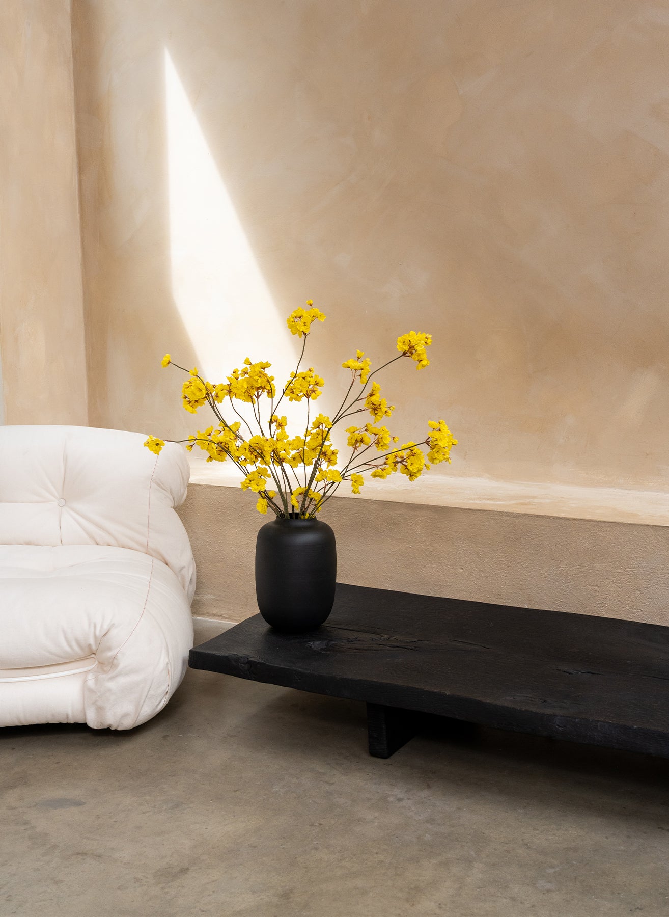 Jasmin d’hiver – Jaune