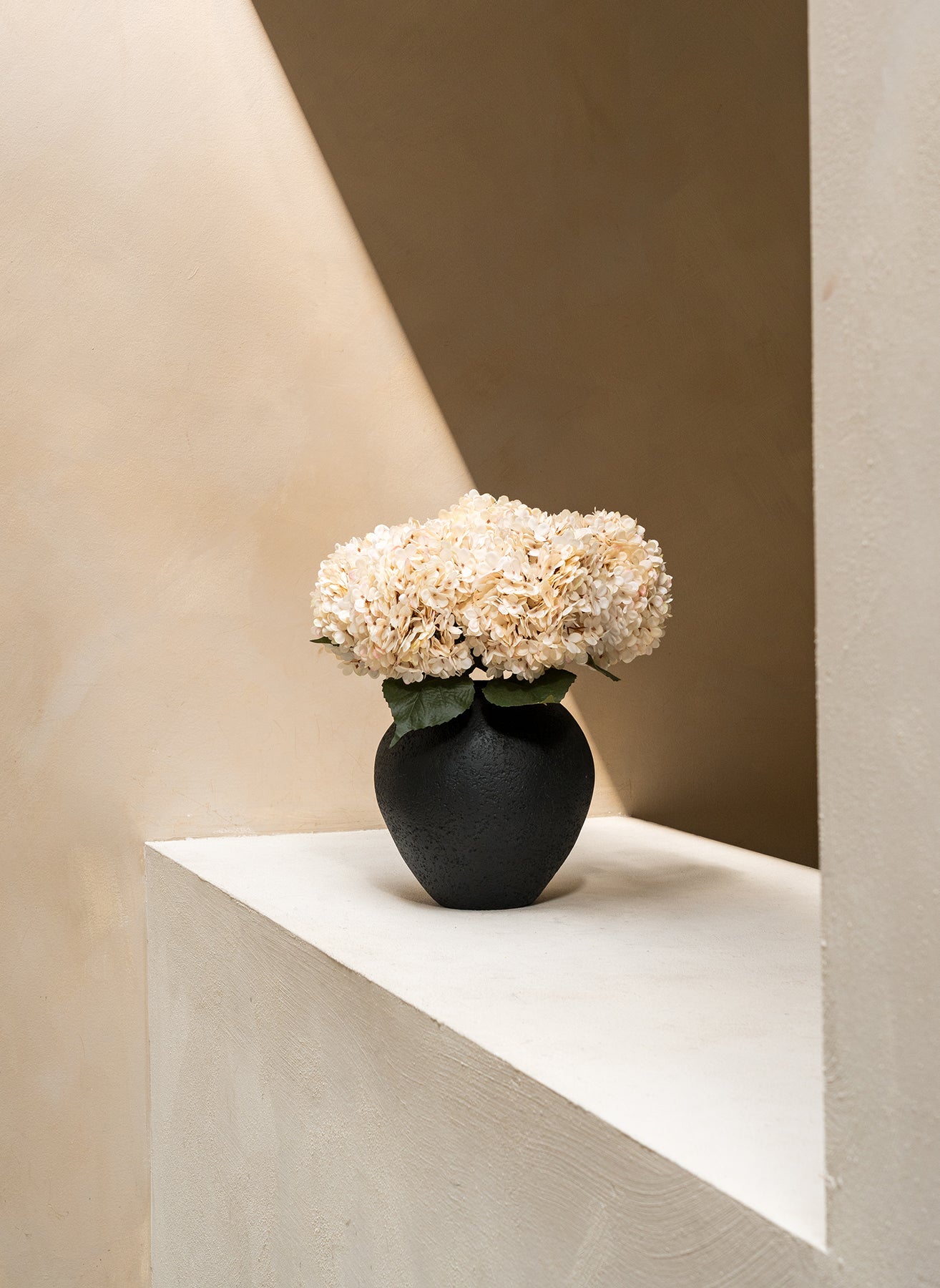 Grande Hortensia (5 tiges) - Crème