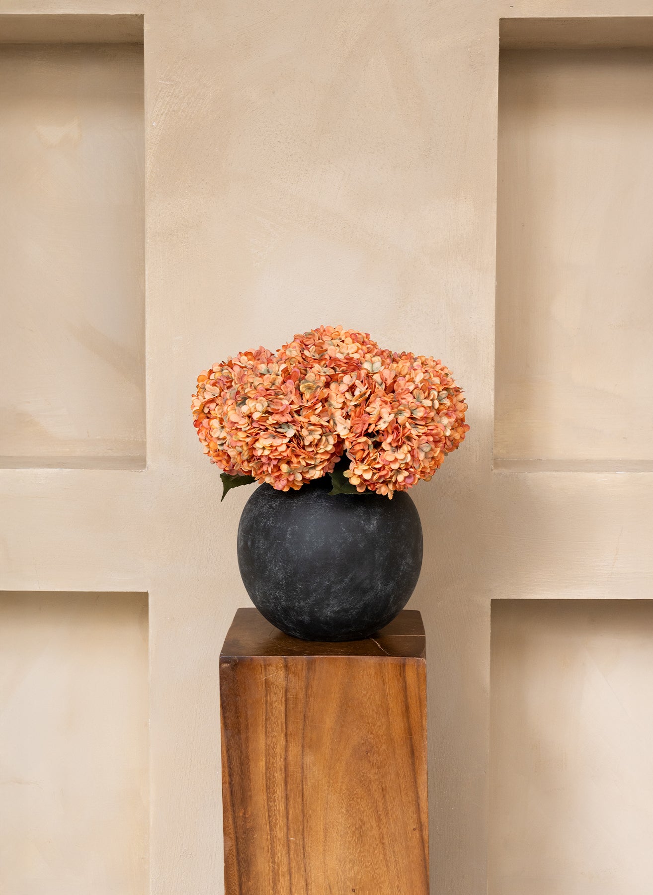 Grande Hortensia (5 tiges) - Orange
